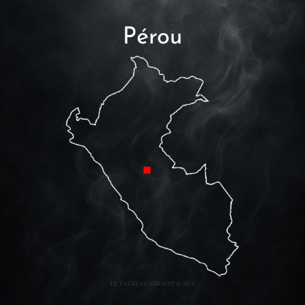 100% Arabica - Pérou ( 1 KG )